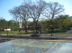 view of Grant Park