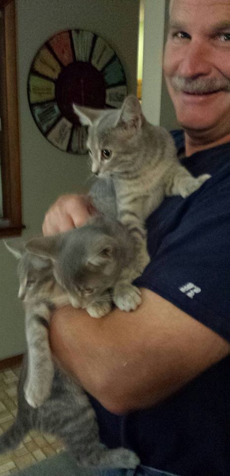3 kitties Sept 22